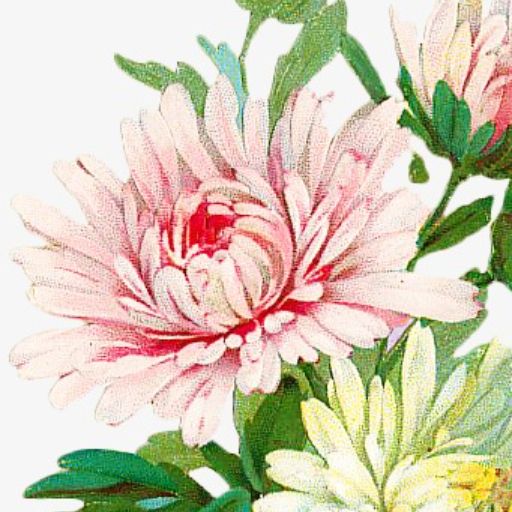 Flower Power's logo